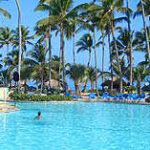 grand-paradise grand-paradise