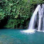 guadeloupe-cascade