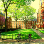 harvard-yard harvard-yard