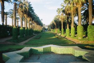 parc_de_la_ligue_arabe parc_de_la_ligue_arabe