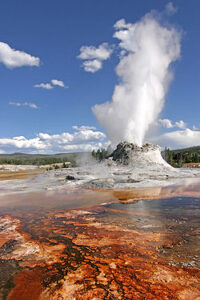 Yellowstone_Castle_Geyser