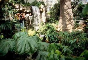 biodome biodome