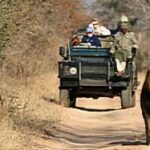 Kruger_park