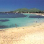 alcudia